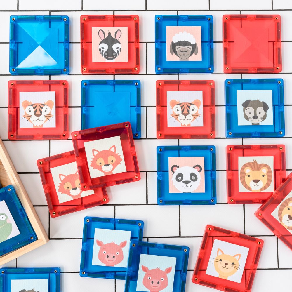 Magnetic Tiles 